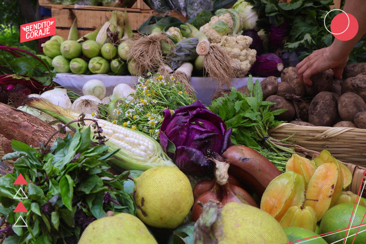 Mercado Alternativo Tlalpan y Xochimilco